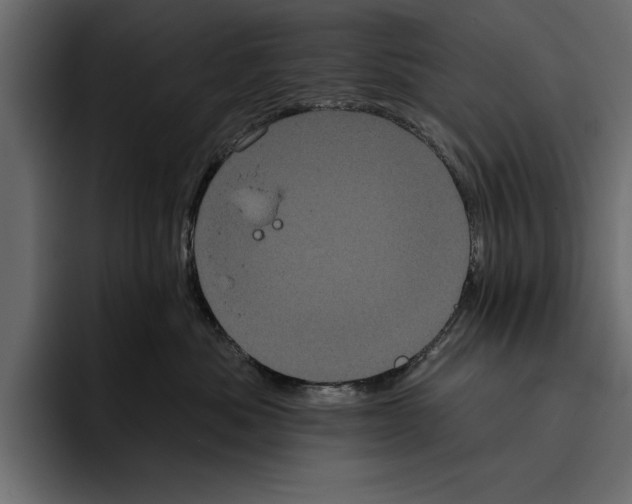 X0000094790525200712141640