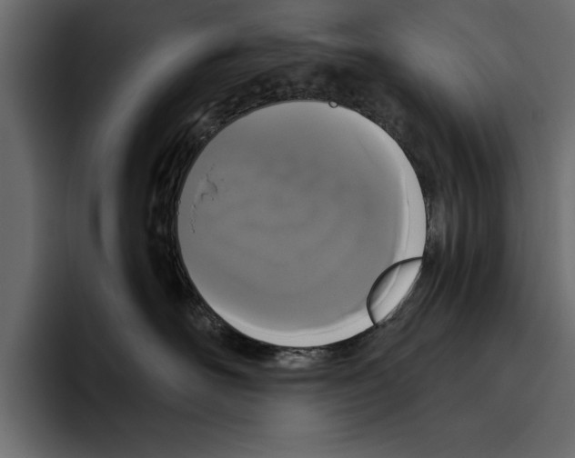 X0000094790526200712141640