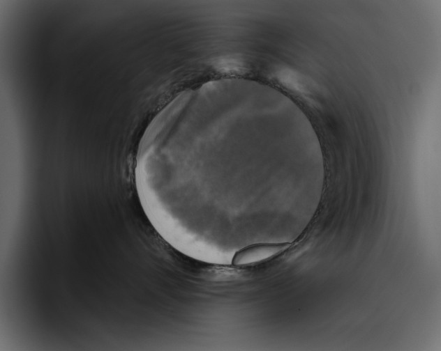 X0000094790528200712141640