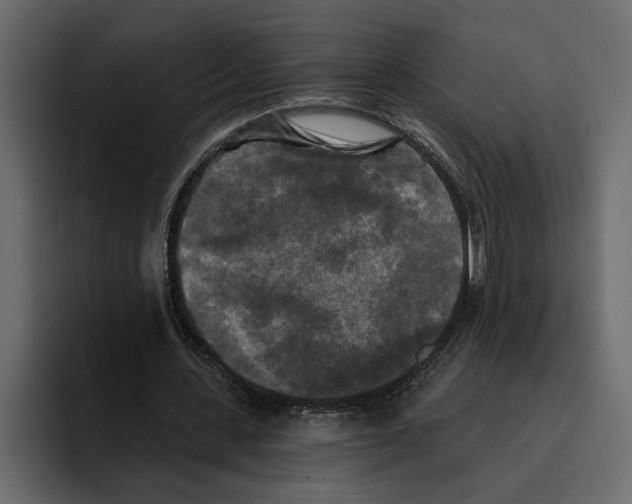 X0000094790531200712141639