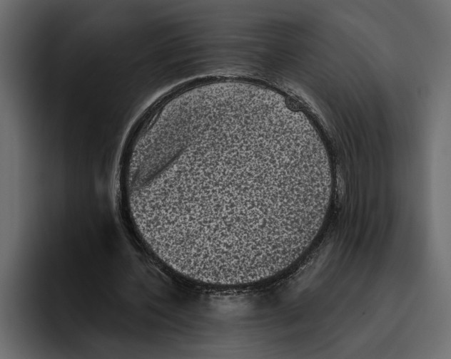 X0000094790532200712141640