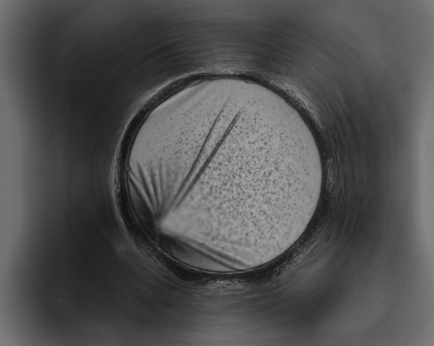 X0000094790536200712141640