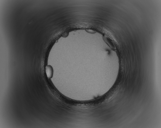 X0000094790538200712141640