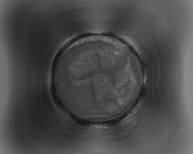 X0000094790540200712141640