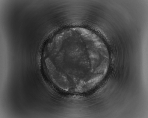 X0000094790542200712141640