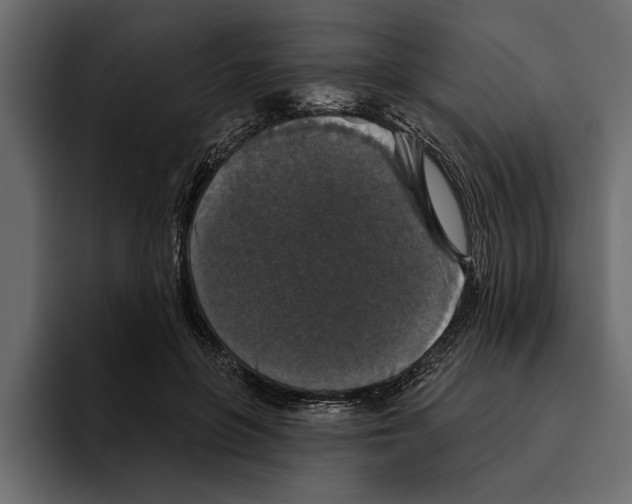 X0000094790551200712141640