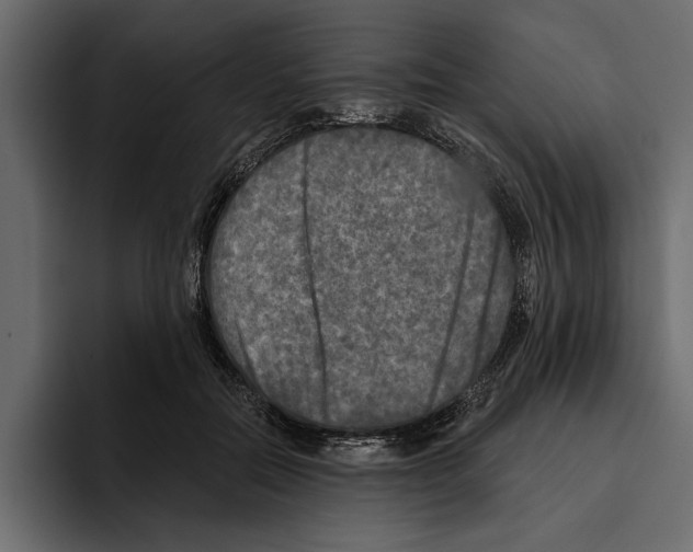 X0000094790554200712141640