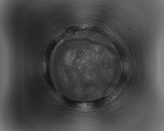 X0000094790558200712141640