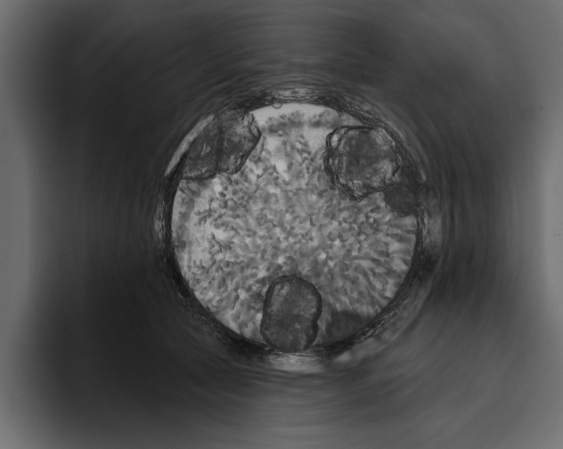 X0000094790561200712141640