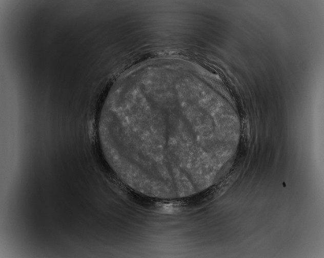 X0000094790564200712141640