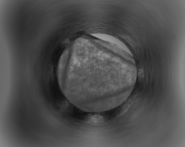 X0000094790572200712141640