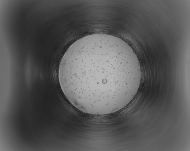 X0000094790573200712141640