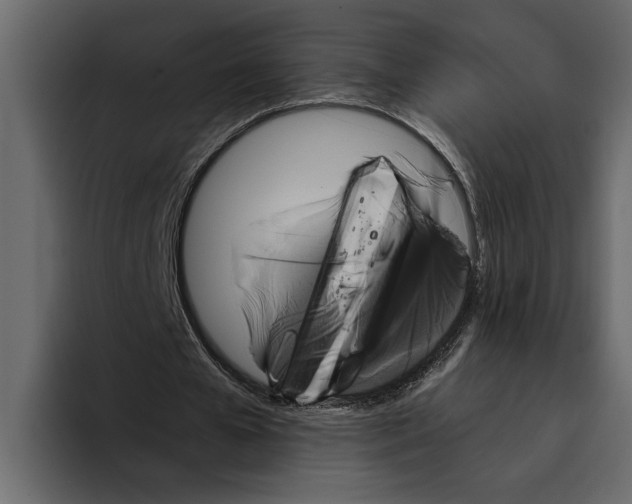 X0000094790577200712141639