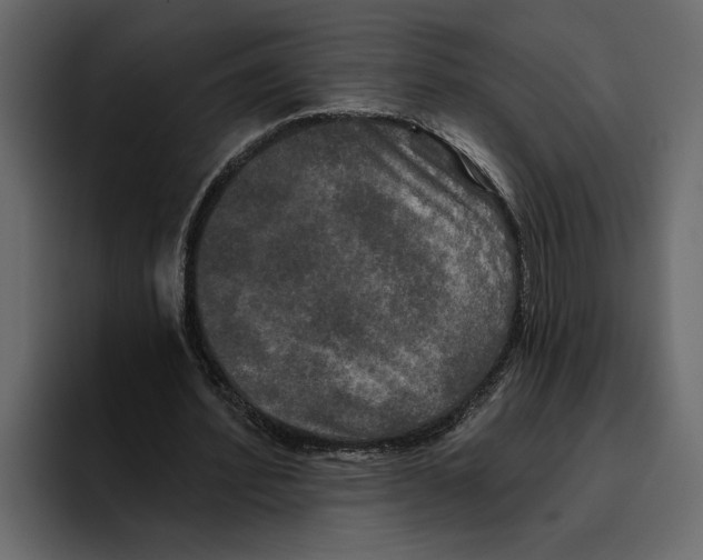 X0000094790580200712141639