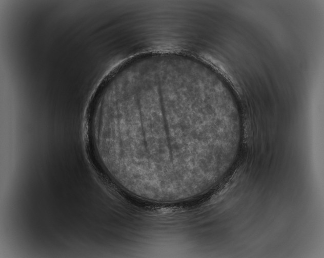 X0000094790584200712141639