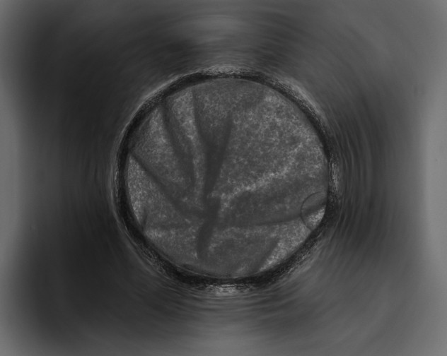 X0000094790588200712141639