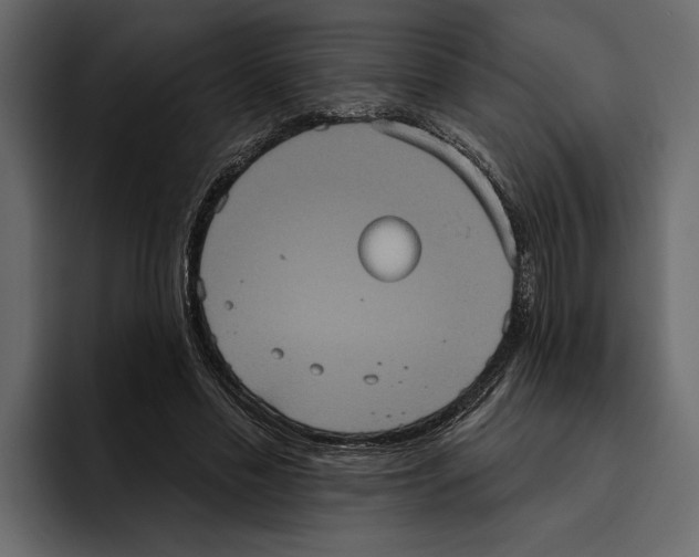 X0000094790589200712141639