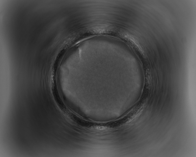 X0000094790590200712141639