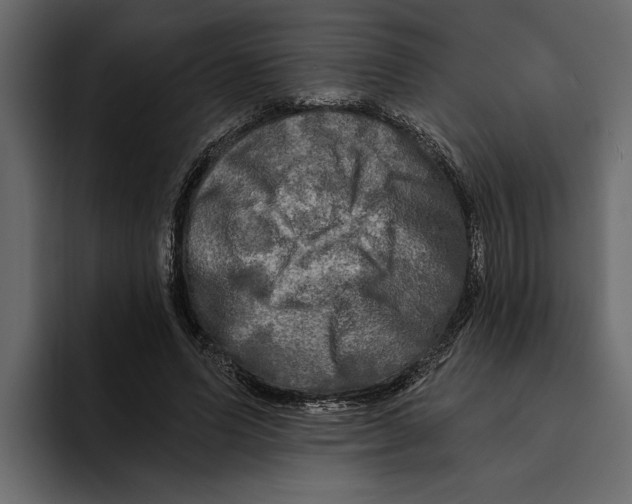 X0000094790591200712141639