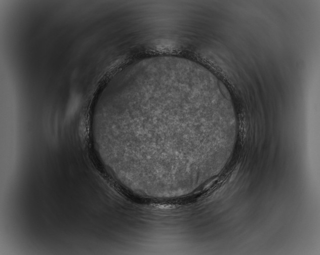 X0000094790593200712141639