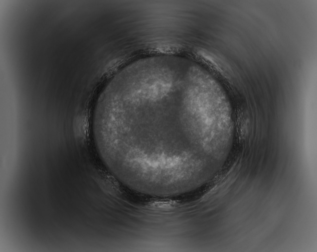 X0000094790595200712141639