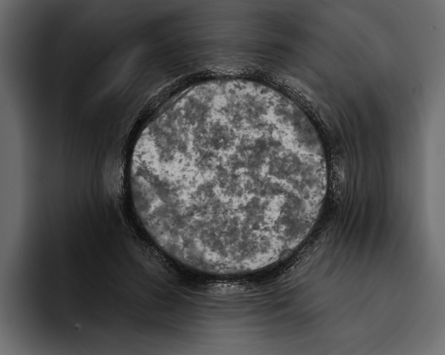 X0000094790596200712141639