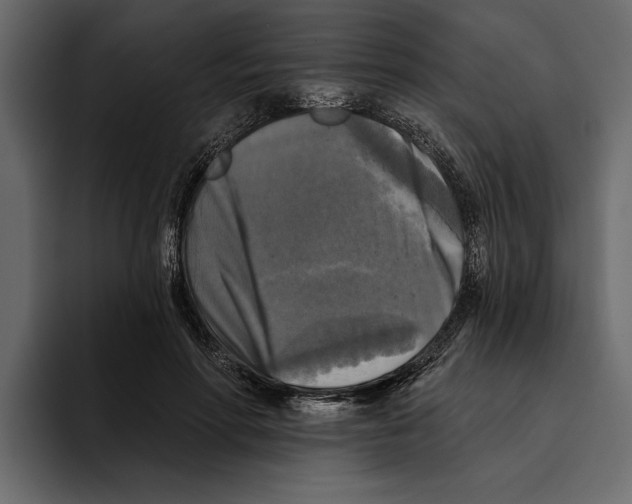 X0000094790598200712141639