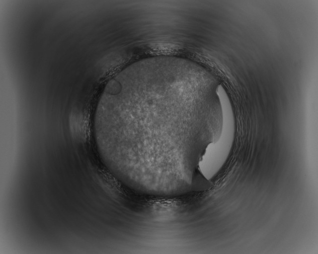 X0000094790599200712141639