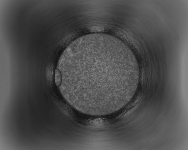 X0000094790600200712141639