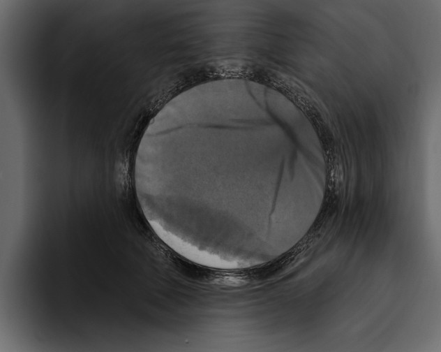 X0000094790610200712141639