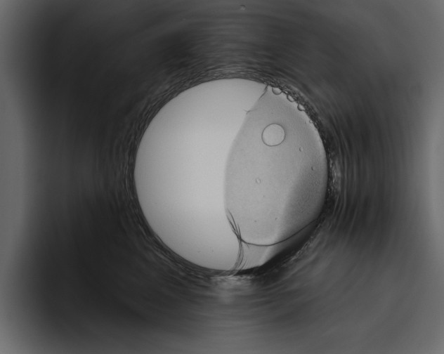 X0000094790617200712141639