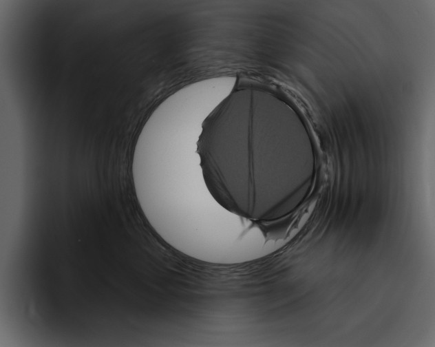 X0000094790621200712141639