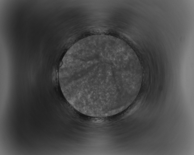 X0000094790624200712141639