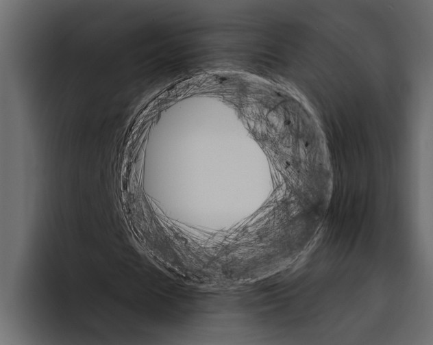 X0000094790625200712141638