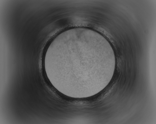 X0000094790629200712141638