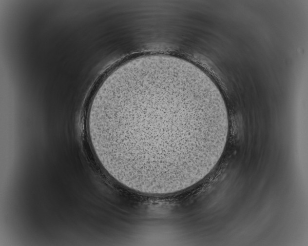 X0000094790632200712141638