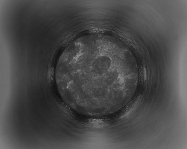 X0000094790649200712141639