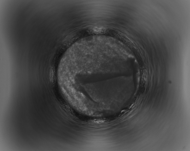 X0000094790651200712141639