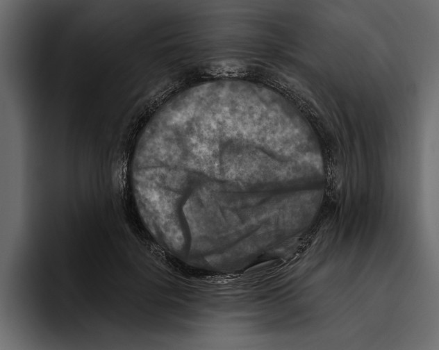 X0000094790652200712141639