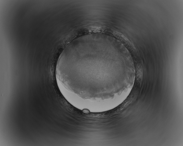 X0000094790661200712141639