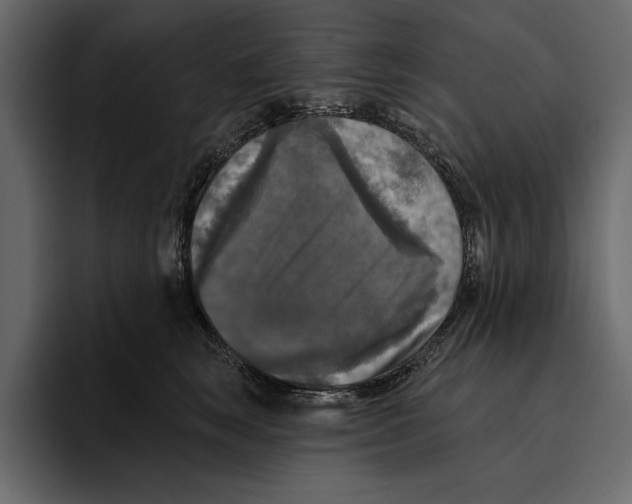 X0000094790663200712141639