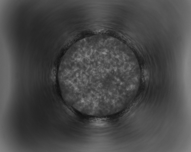 X0000094790664200712141639