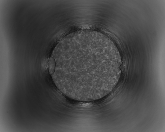 X0000094790665200712141639