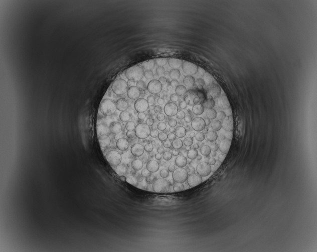 X0000094790666200712141639