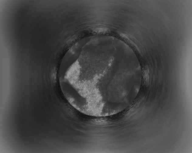 X0000094790668200712141639