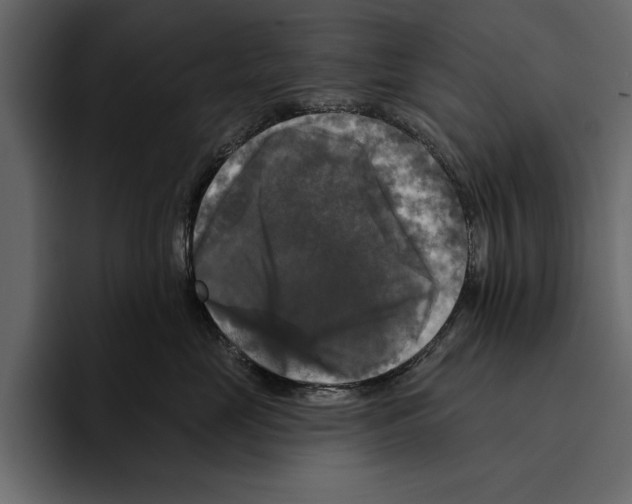 X0000094790669200712141639