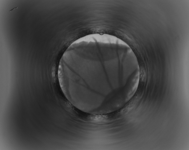 X0000094790670200712141639