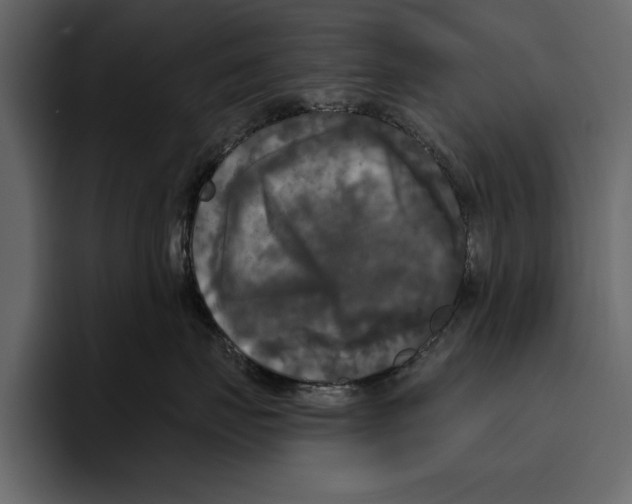 X0000094790671200712141639