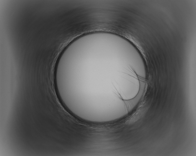 X0000094790673200712141638