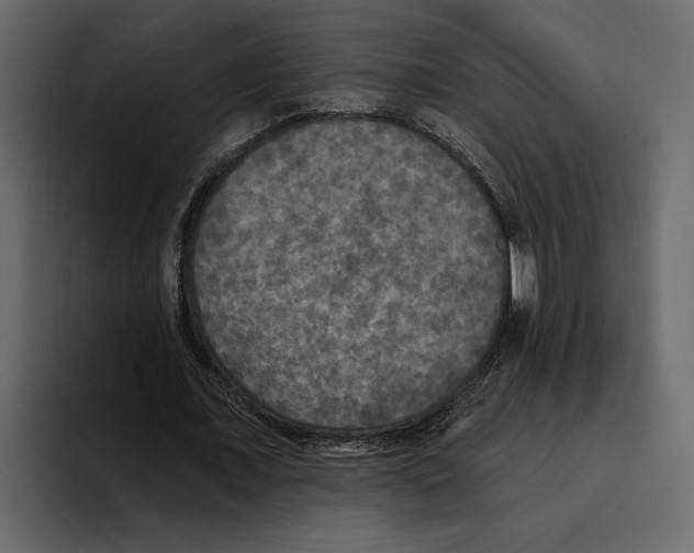 X0000094790675200712141638